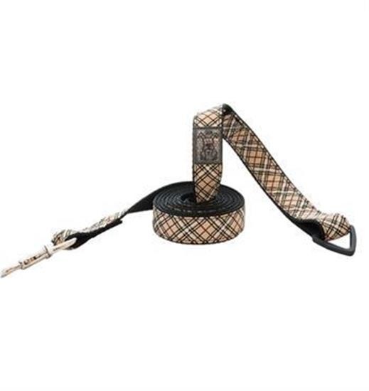 Laisse pour chien de compagnie RC 6 pi.