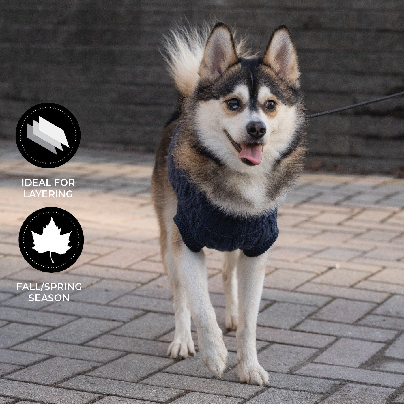 Shedrow K9 Brentwood Cable Knit Dog Sweater