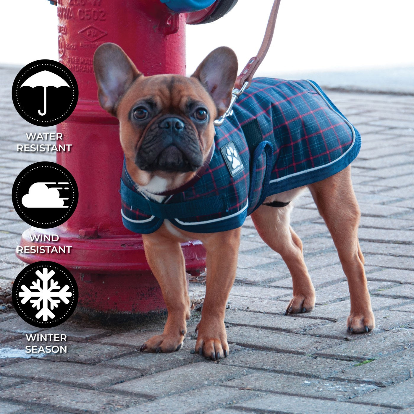 Manteau pour chien Shedrow K9 Glacier