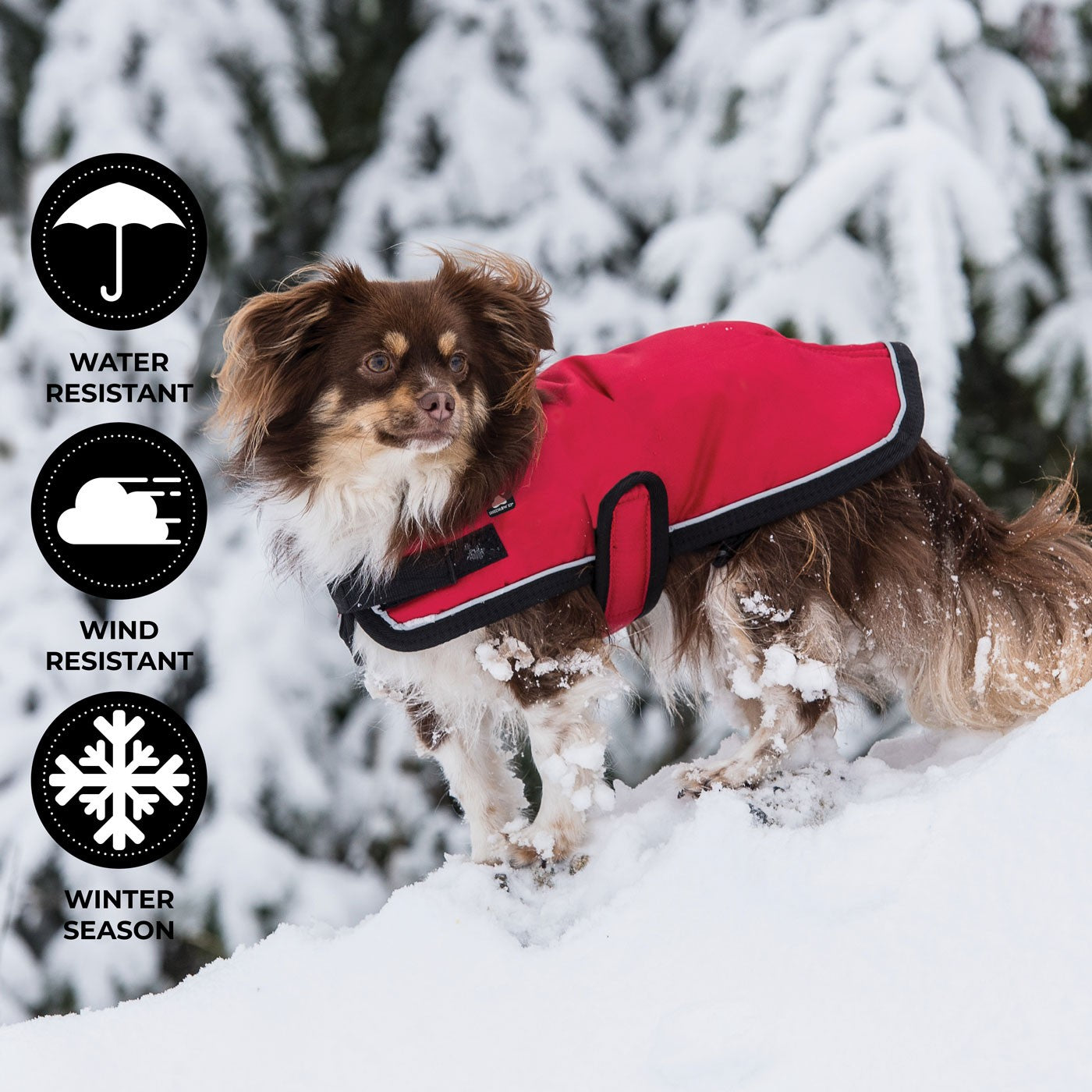 Manteau pour chien Shedrow K9 Tundra