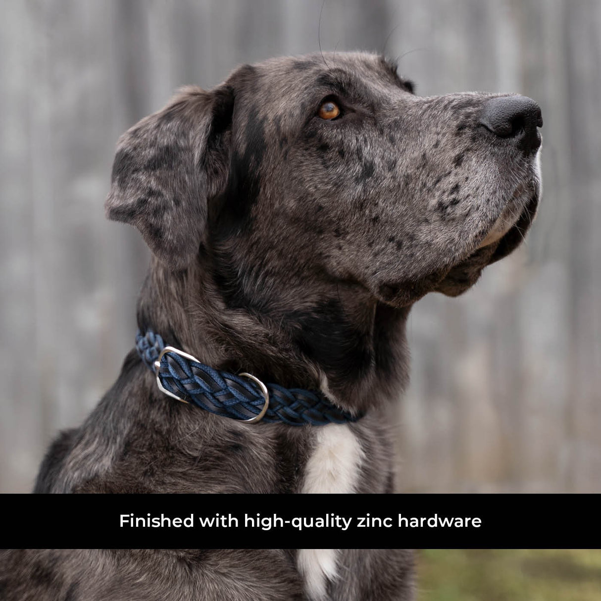 Shedrow K9 Rideau en corde tressée et collier en cuir