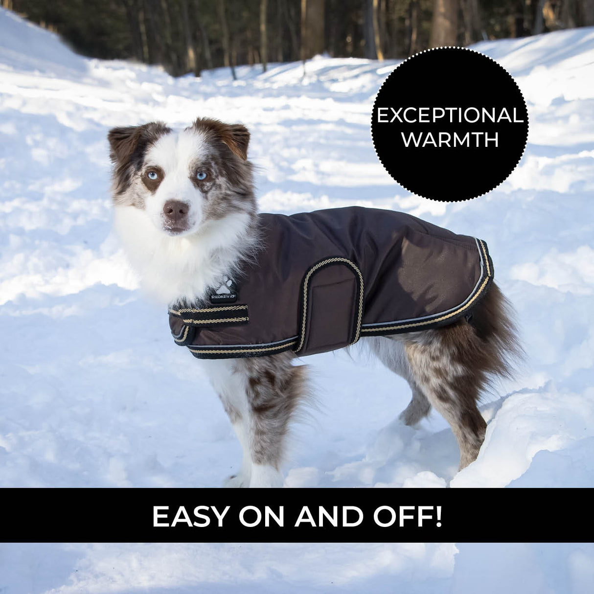 Manteau pour chien Shedrow K9 Tundra