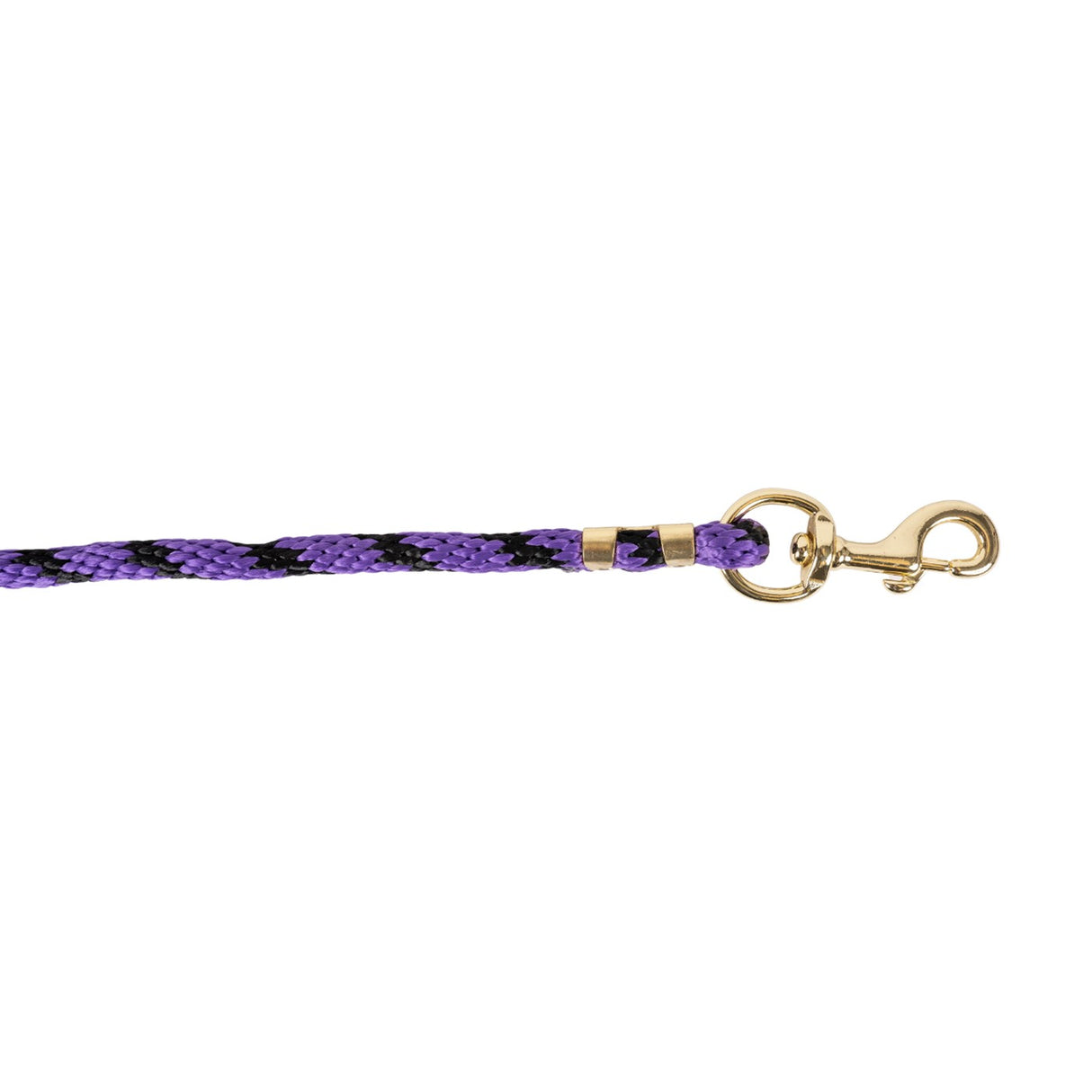 Laisse Poly Deux Tons Shedrow