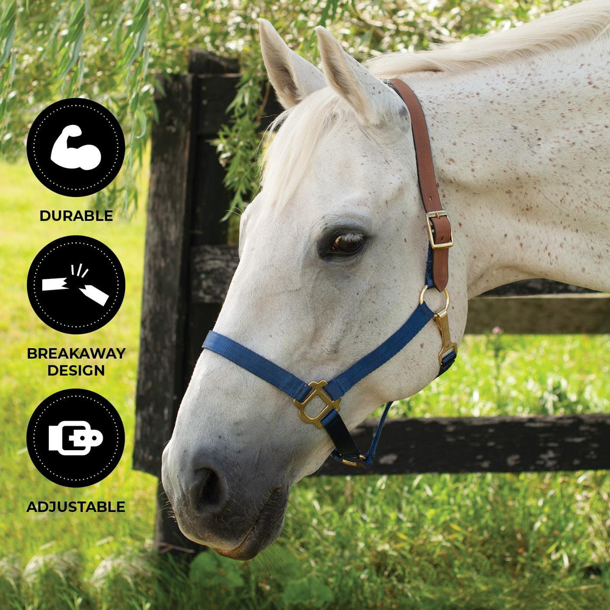 Licol Supra en nylon avec couronne en cuir