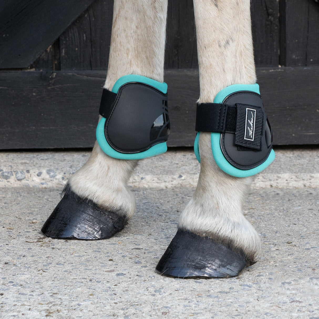 Shedrow Fetlock Boots W/ Coloured Lining