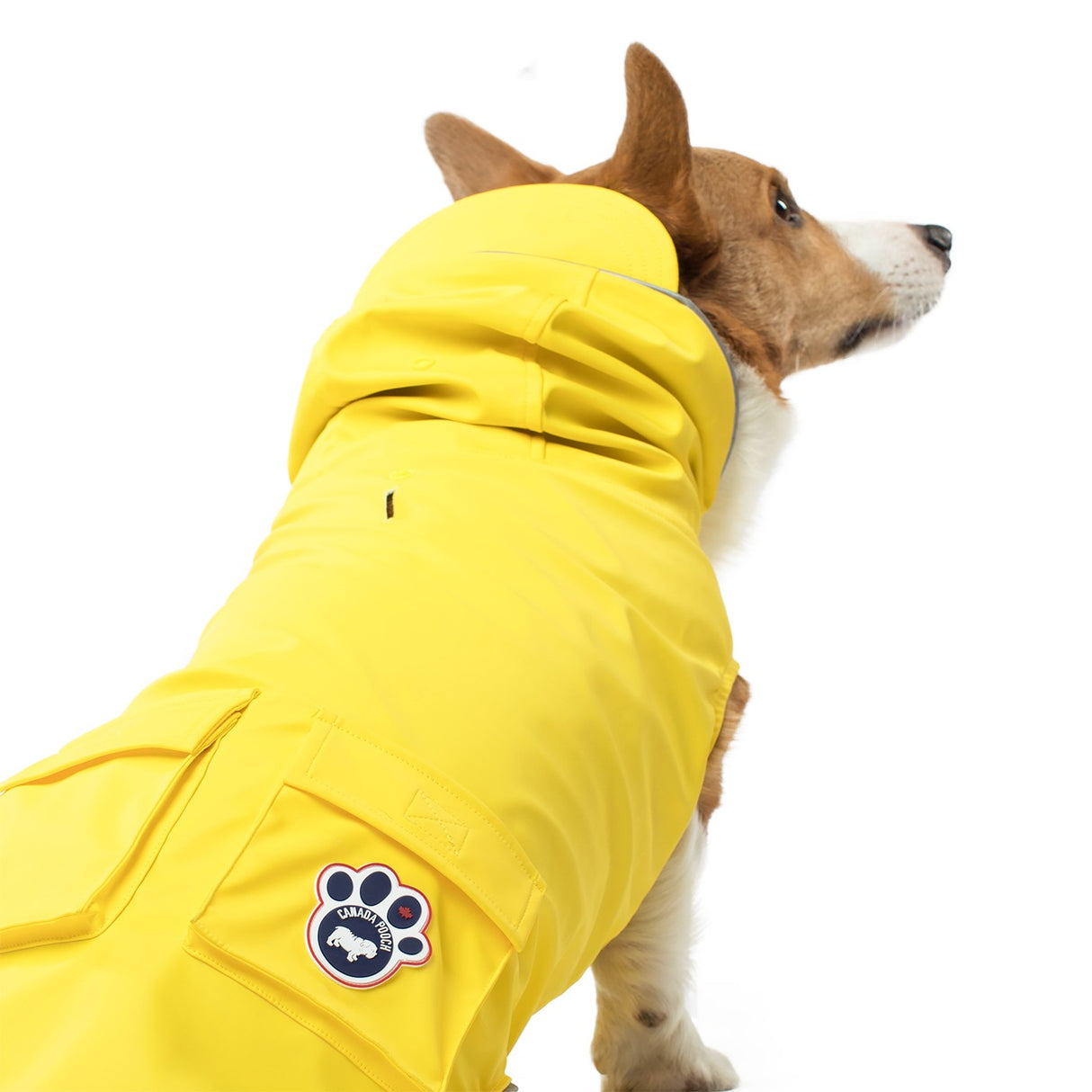 Canada Pooch Torrential Tracker Dog Jacket