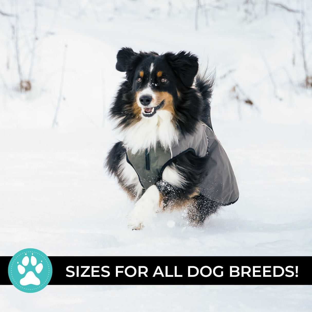 Shedrow K9 Chinook Dog Coat