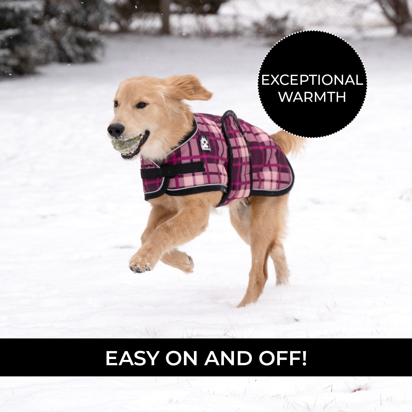 Manteau pour chien Shedrow K9 Glacier