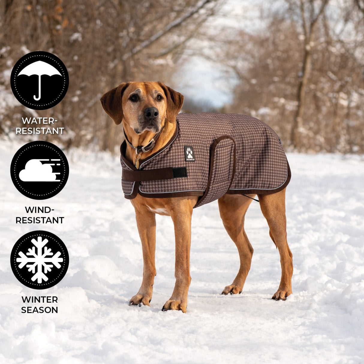 Shedrow K9 Expedition Dog Coat