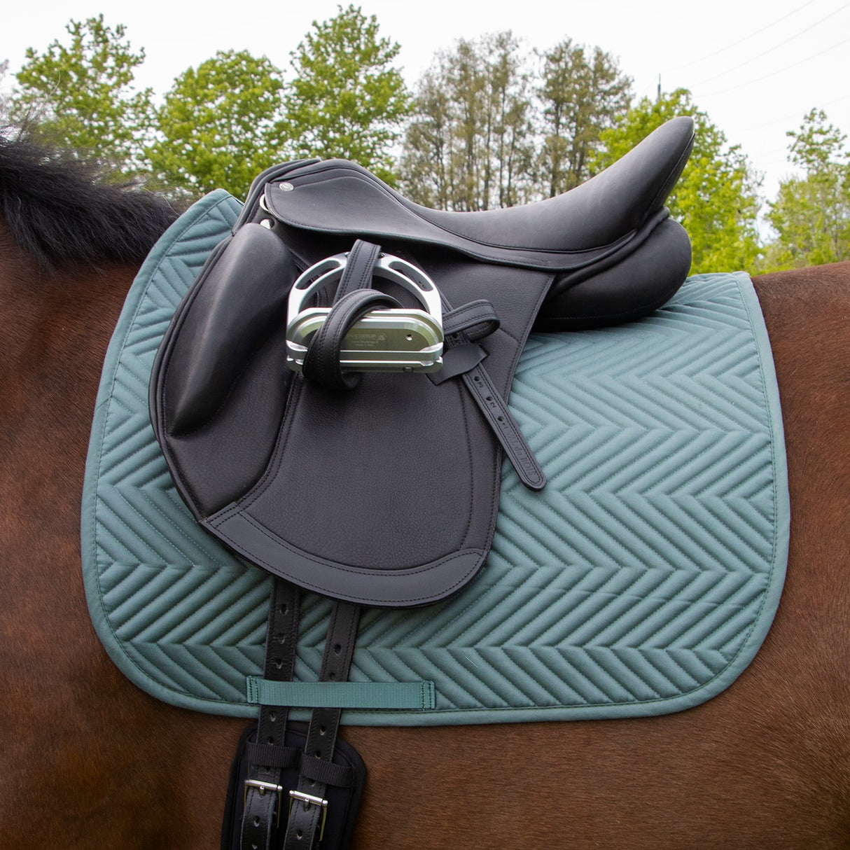 Everyday Essential Dressage Saddle Pad