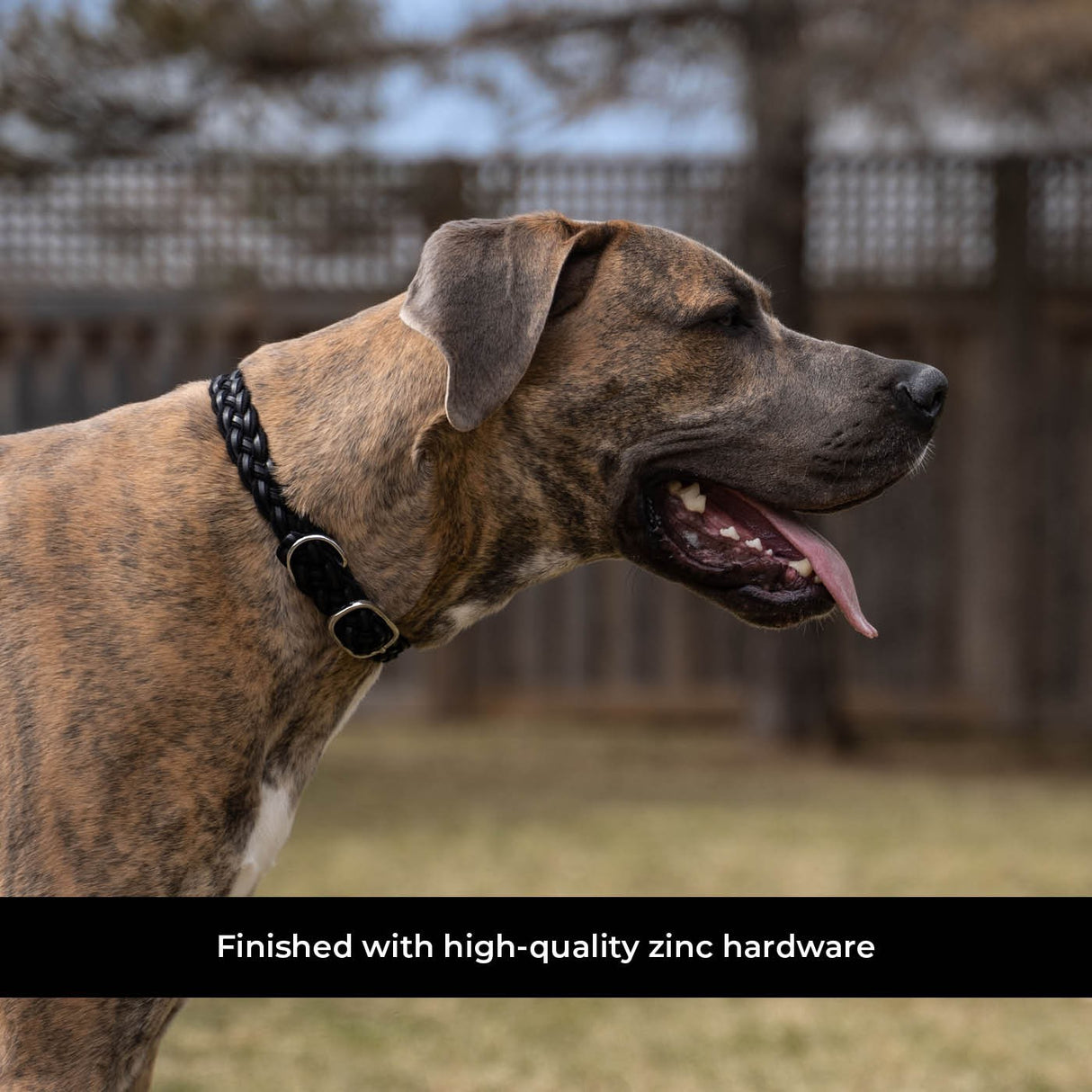Shedrow K9 Rideau en corde tressée et collier en cuir