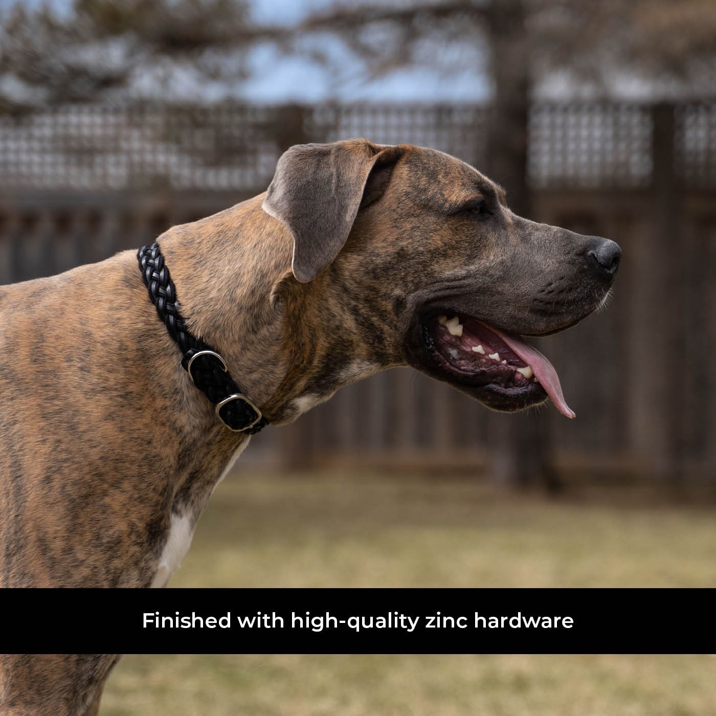 Shedrow K9 Rideau en corde tressée et collier en cuir