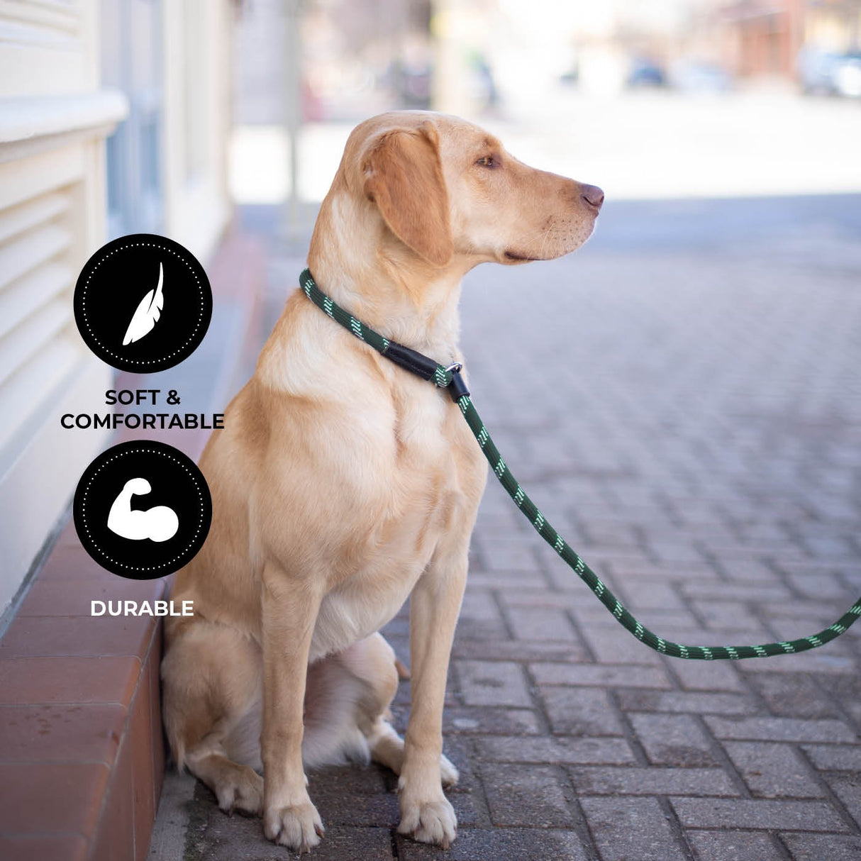 Shedrow K9 Camino Corde Slip Laisse