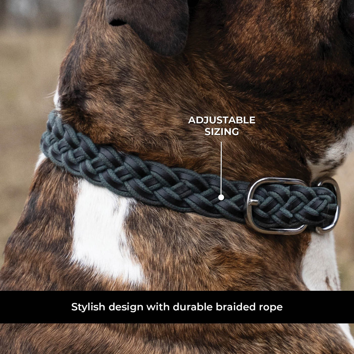 Shedrow K9 Rideau en corde tressée et collier en cuir