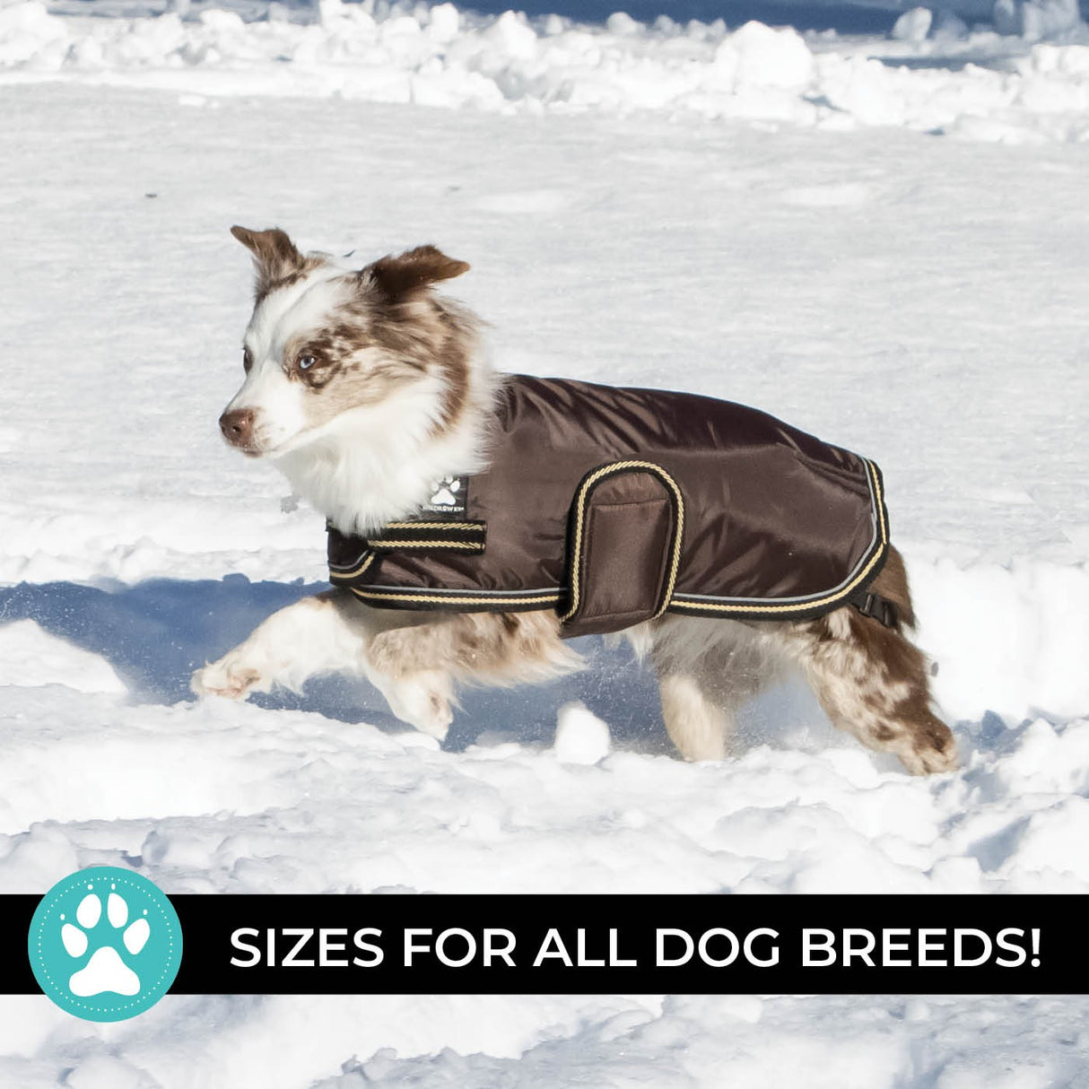 Shedrow K9 Tundra Dog Coat