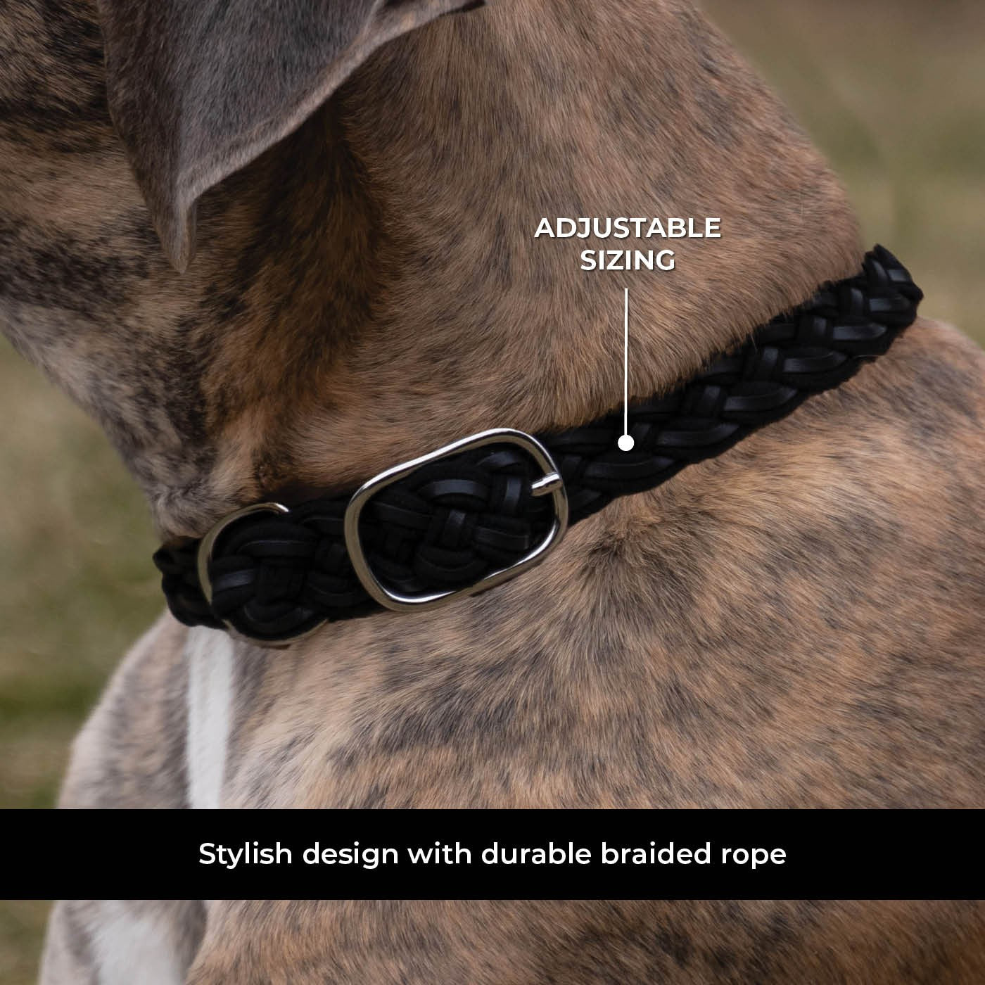 Shedrow K9 Rideau en corde tressée et collier en cuir