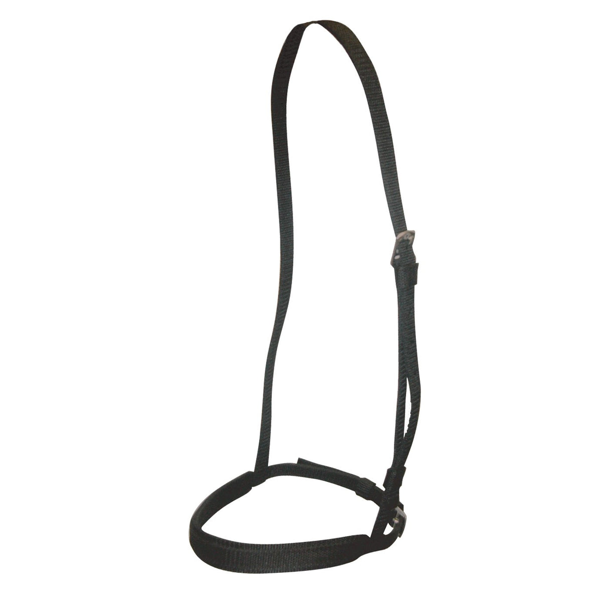 Shedrow Thoroughbred Race Cavesson