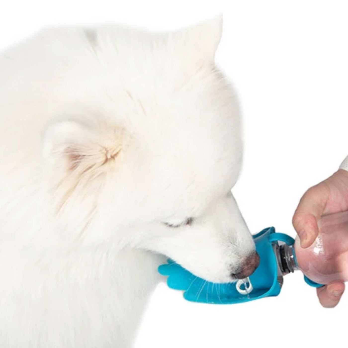Abreuvoir polyvalent BRB Pets HydroSMART-Flex