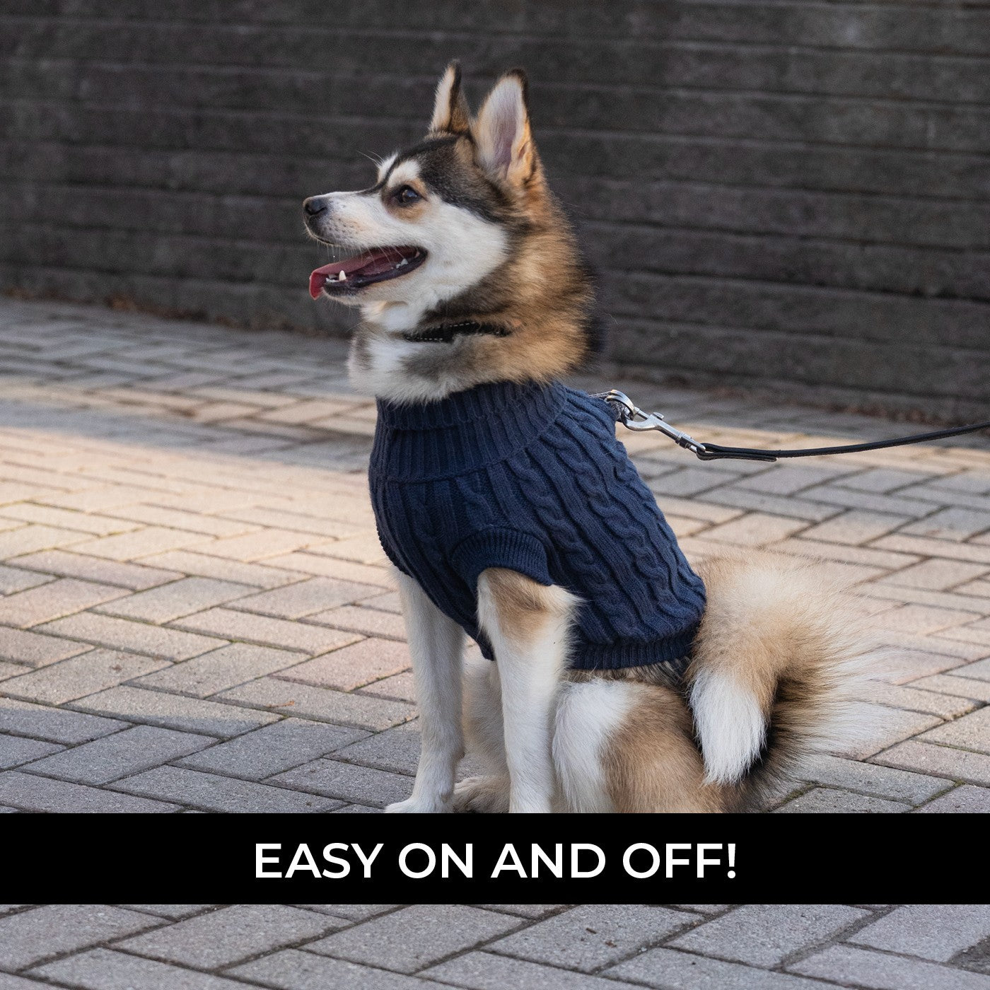 Shedrow K9 Brentwood Cable Knit Dog Sweater
