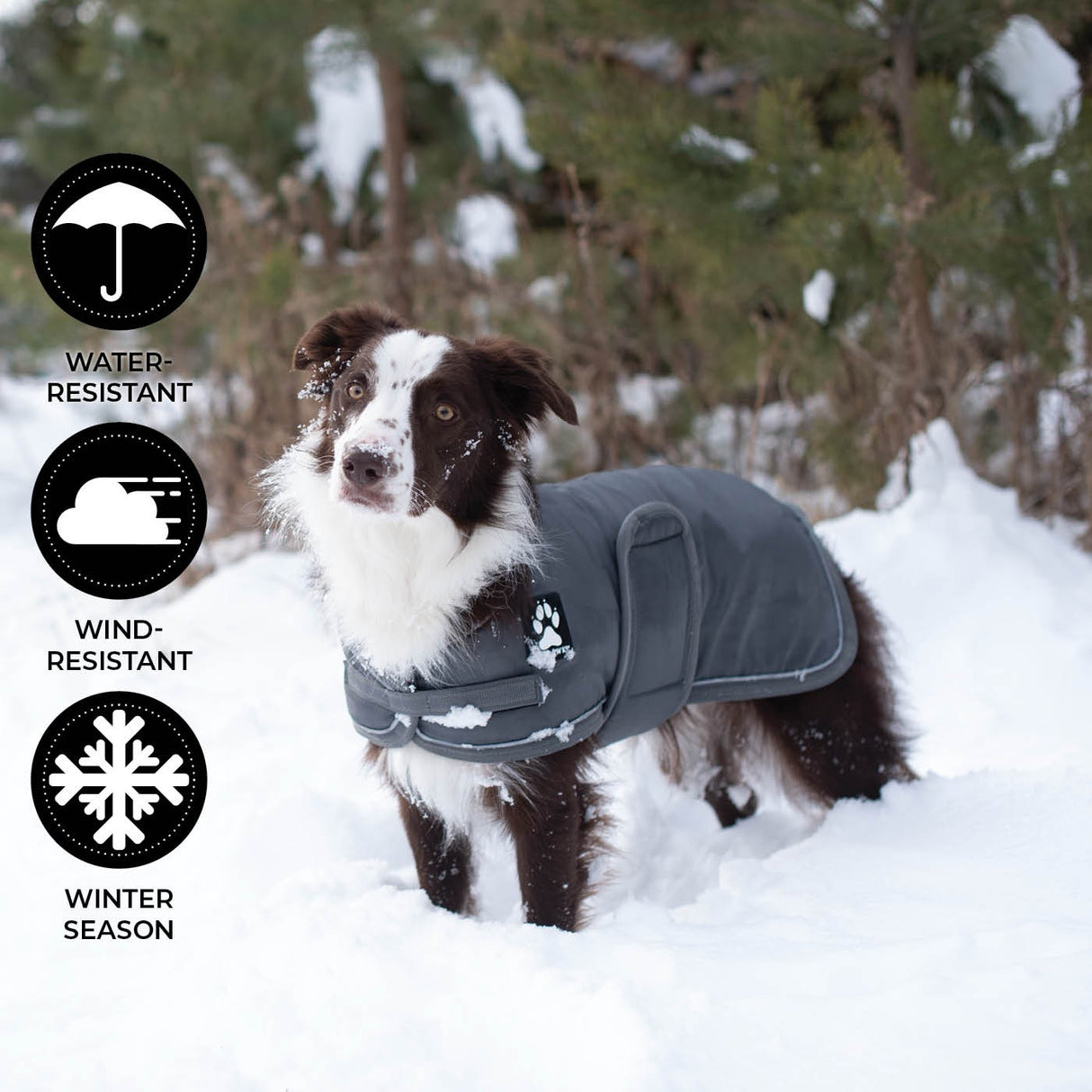 Shedrow K9 Vail Dog Coat