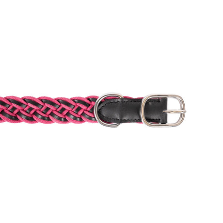 Shedrow K9 Rideau Braided Rope & Leather Collar