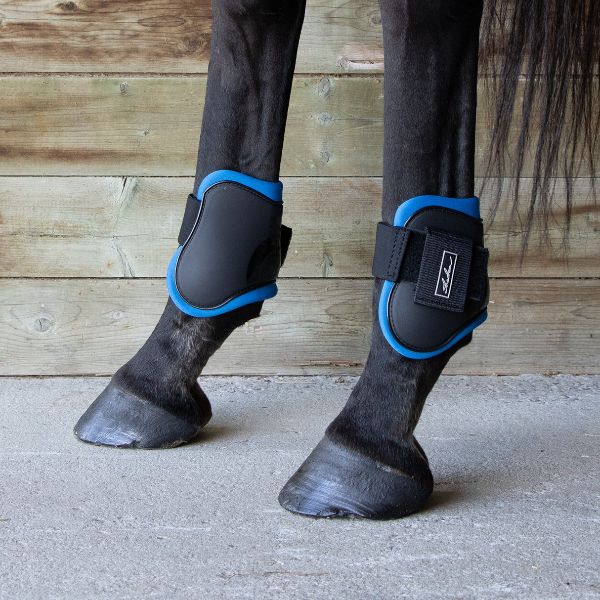 Shedrow Fetlock Boots W/ Coloured Lining