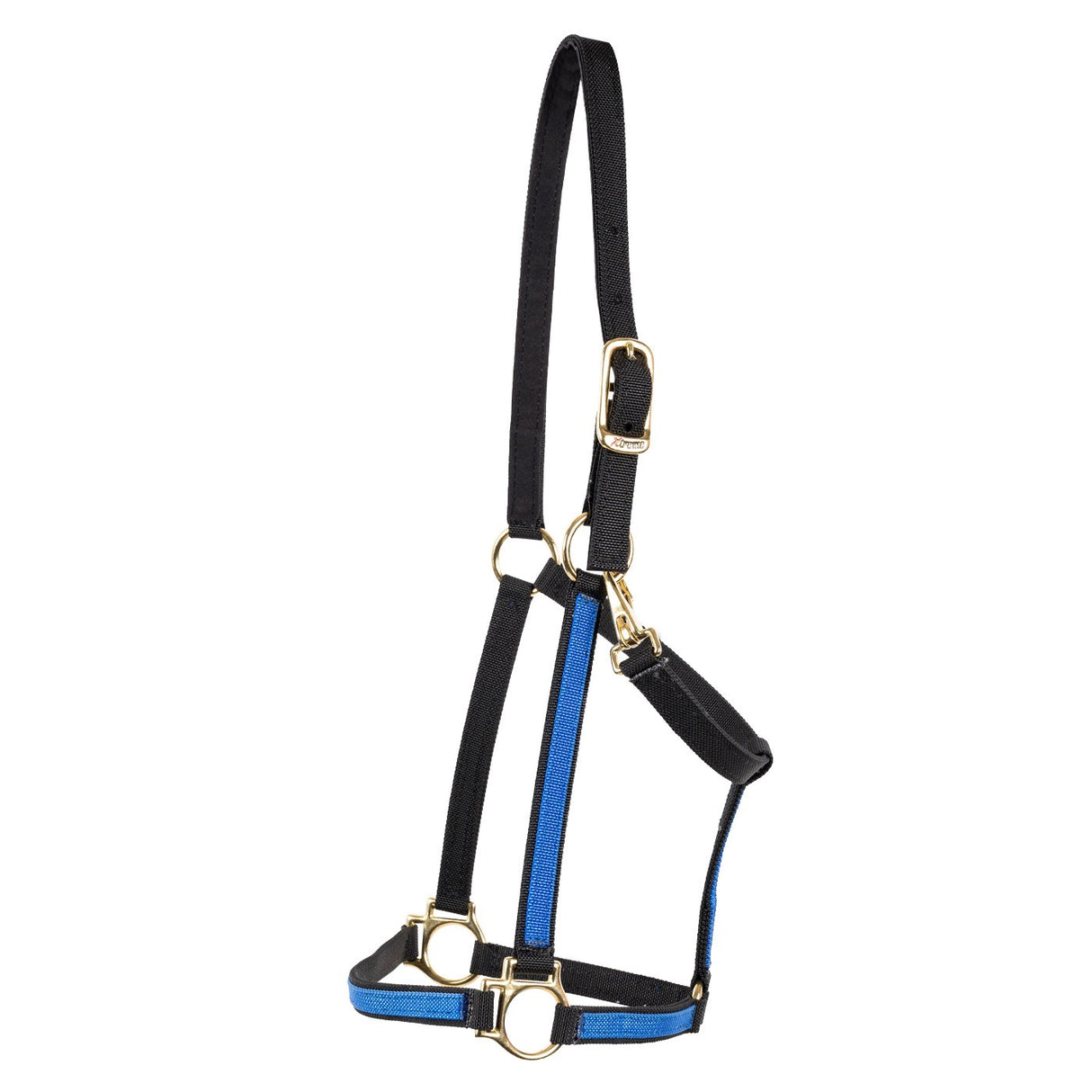 Licol en nylon bicolore extrême