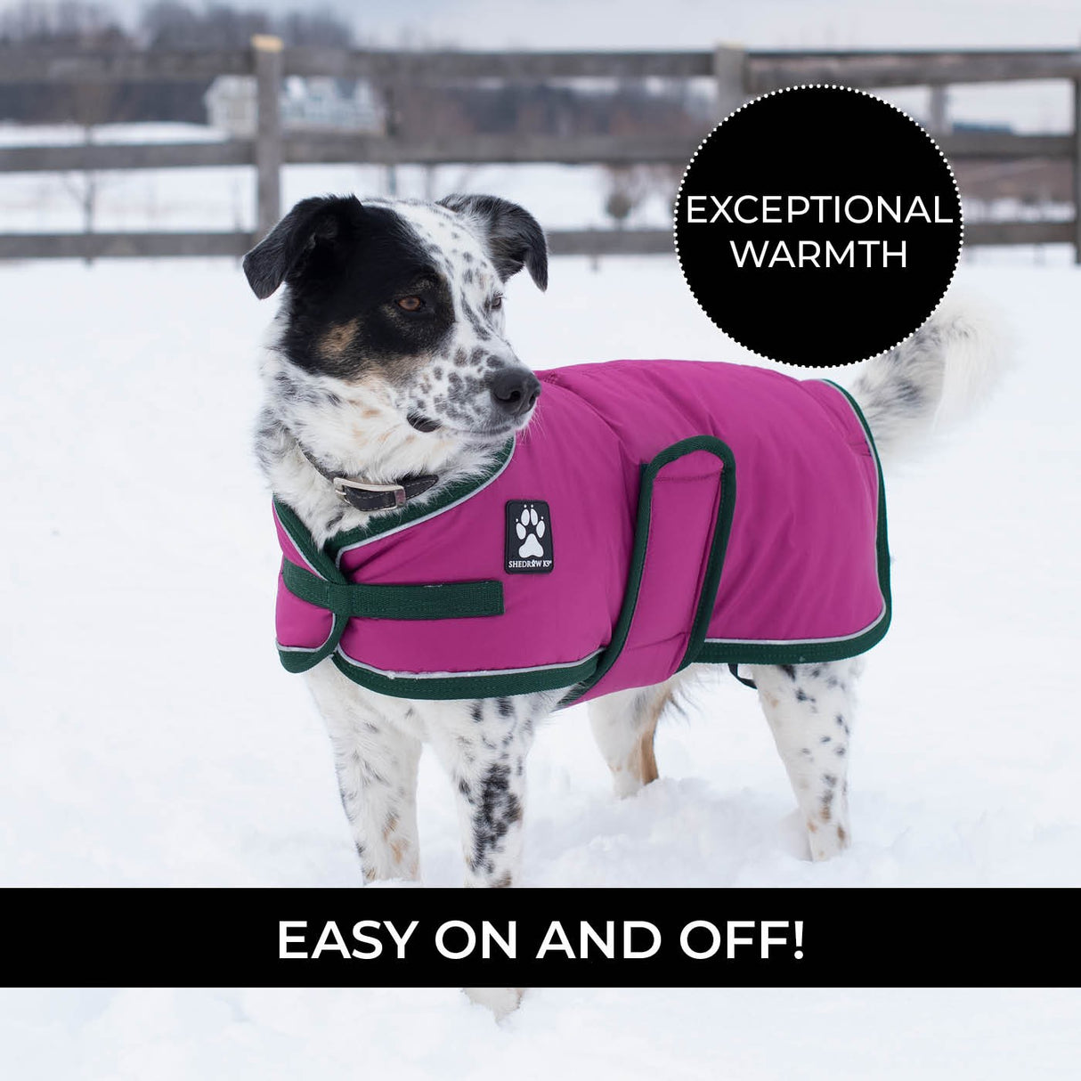 Manteau pour chien Shedrow K9 Vail