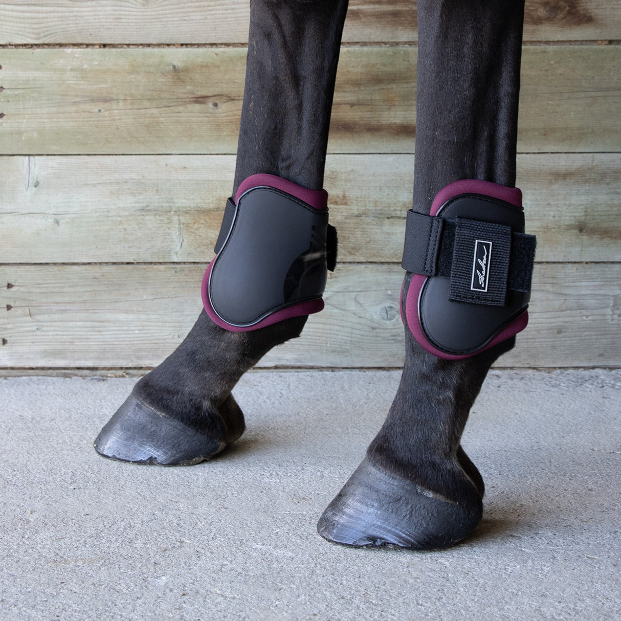 Shedrow Fetlock Boots W/ Coloured Lining