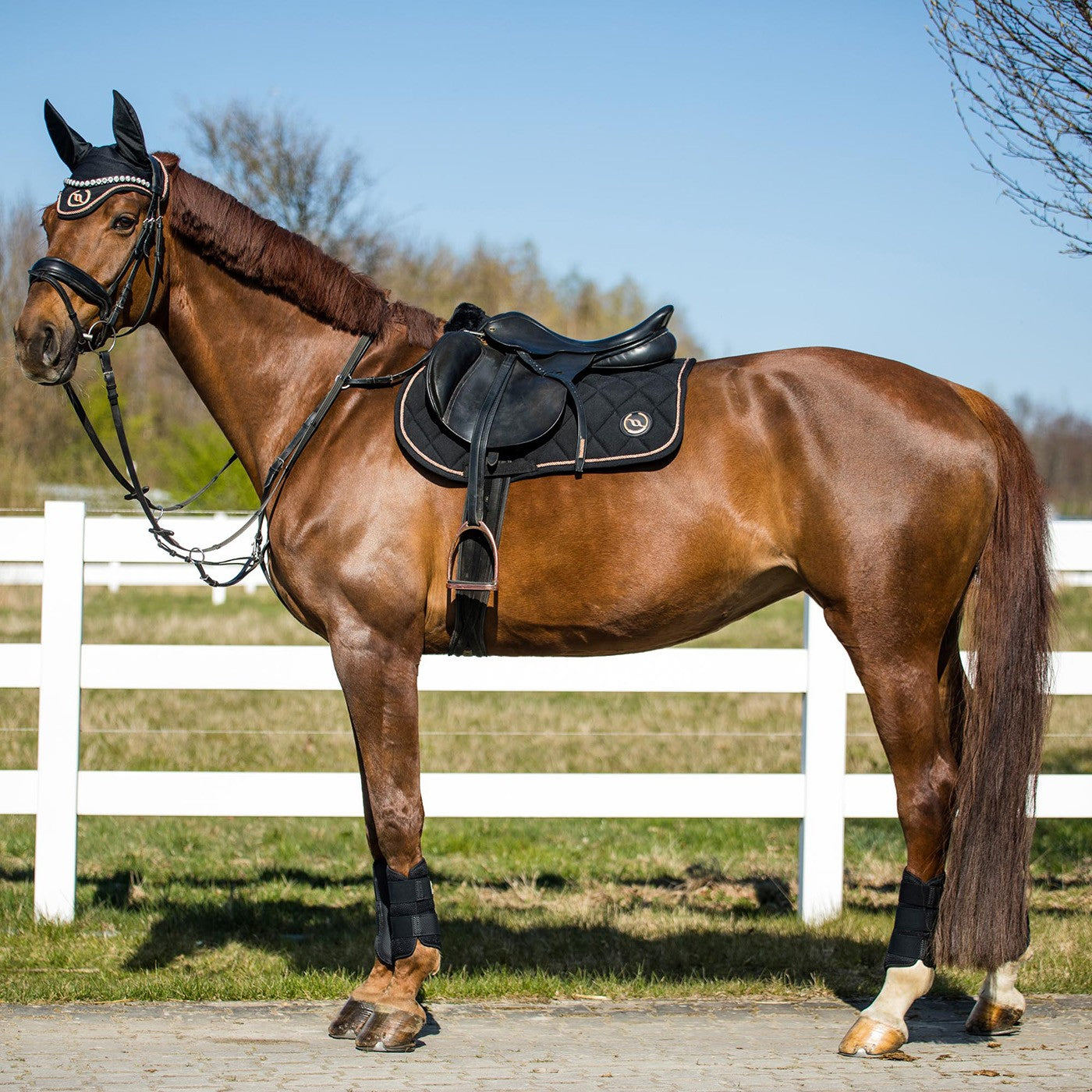 Back on Track Haze Collection Saddle Pad