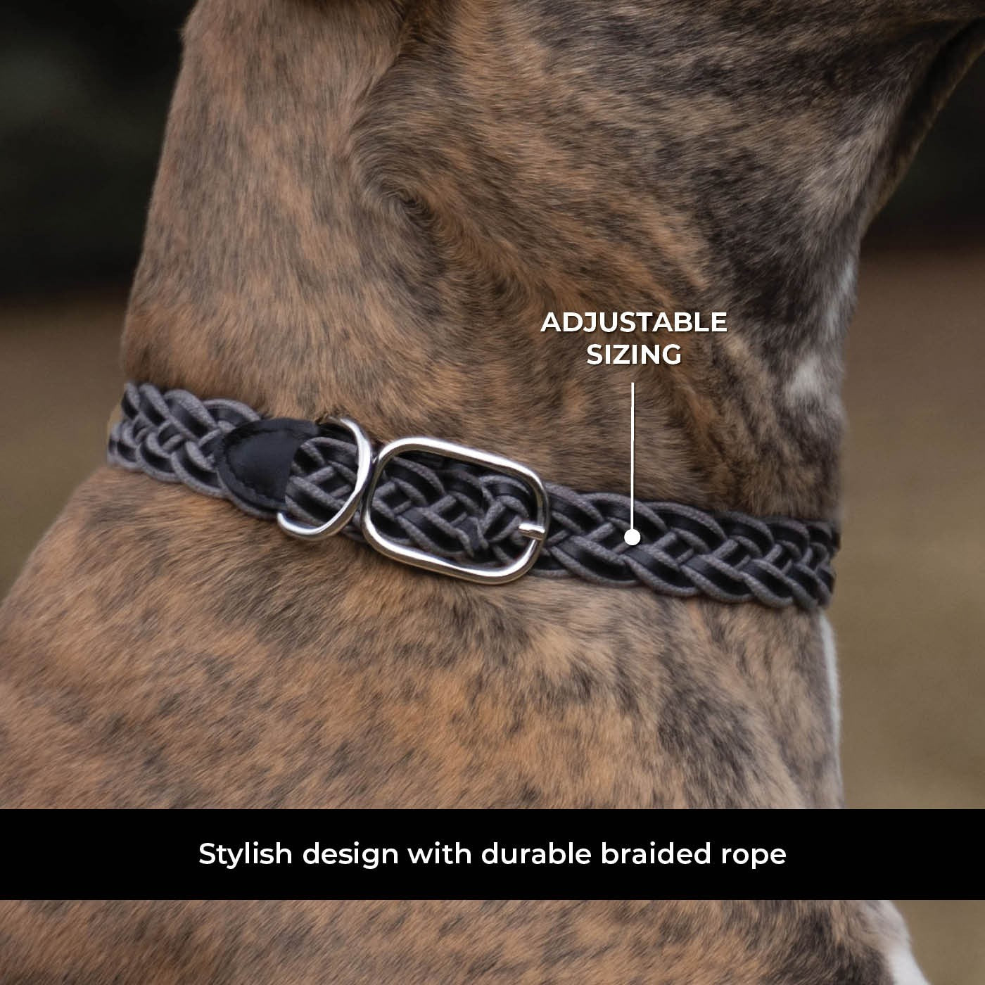 Shedrow K9 Rideau en corde tressée et collier en cuir