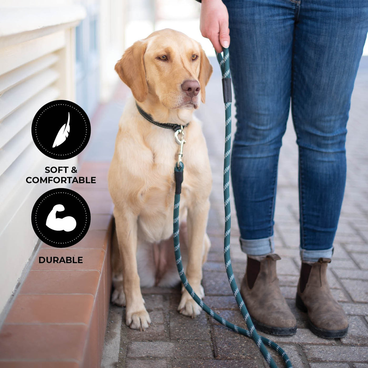 Shedrow K9 Camino Rope Leash