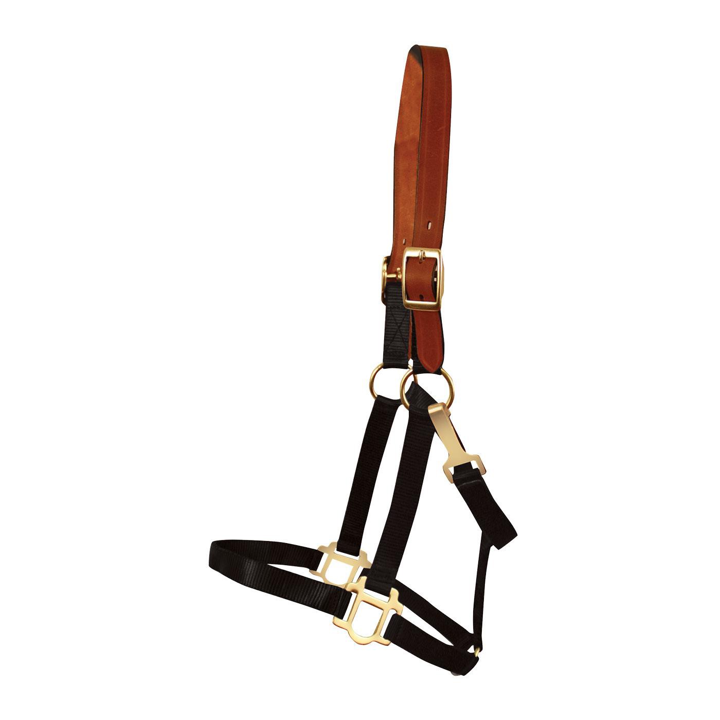 Licol Supra en nylon avec couronne en cuir