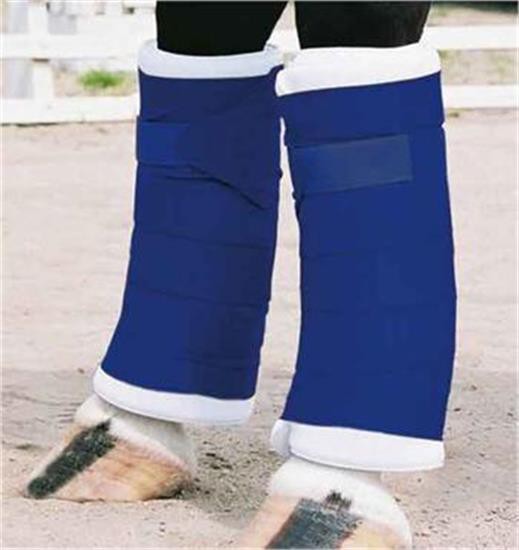 Bandages pour poney Shedrow