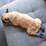 Canada Pooch The Basics Dog Socks