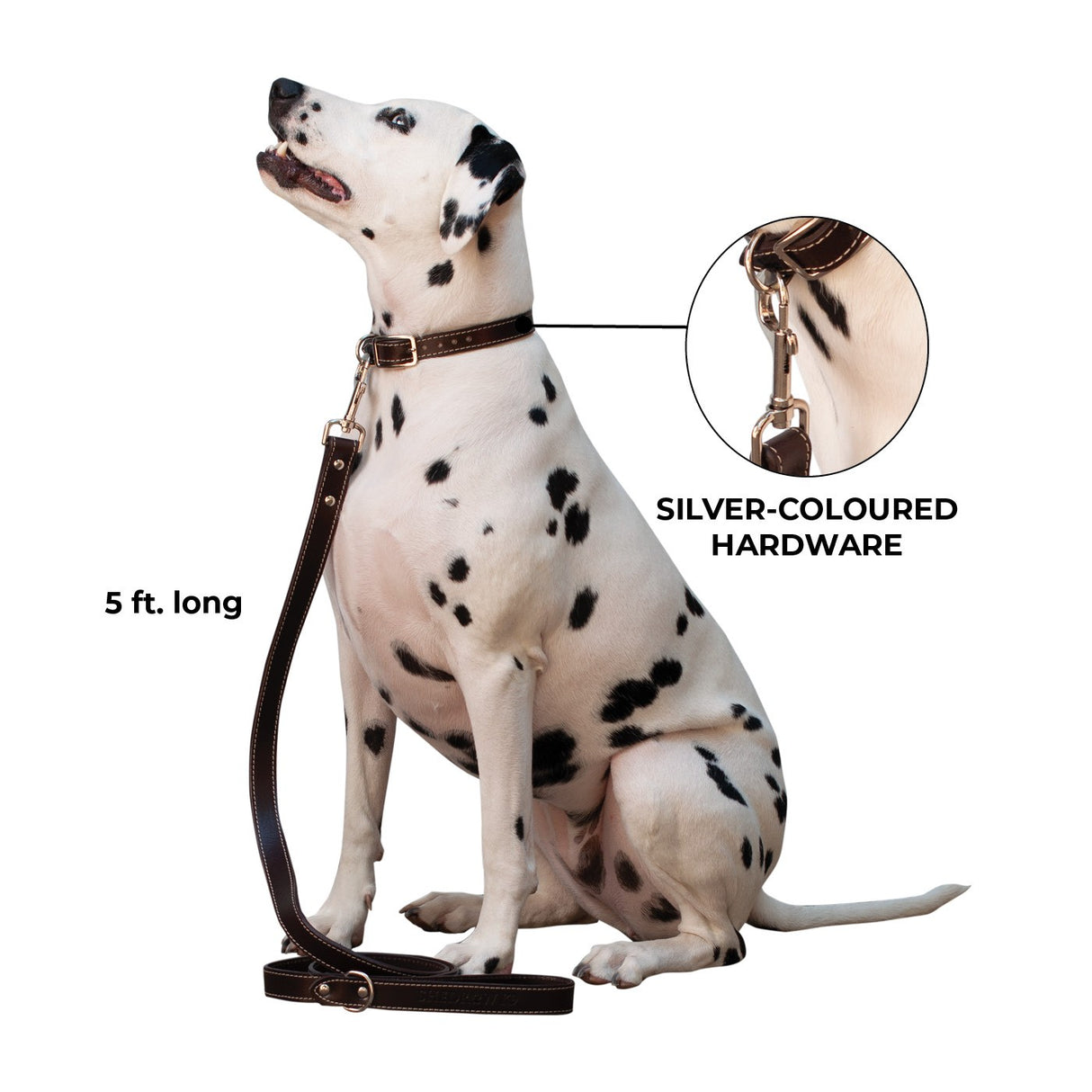 Shedrow K9 Richmond Top Stitch Leather Leash 5 ft.