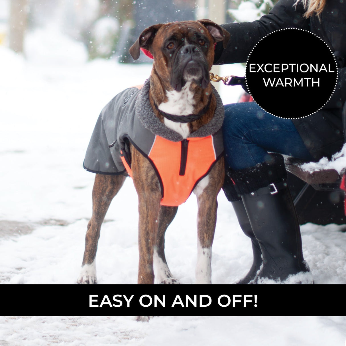 Shedrow K9 Chinook Dog Coat