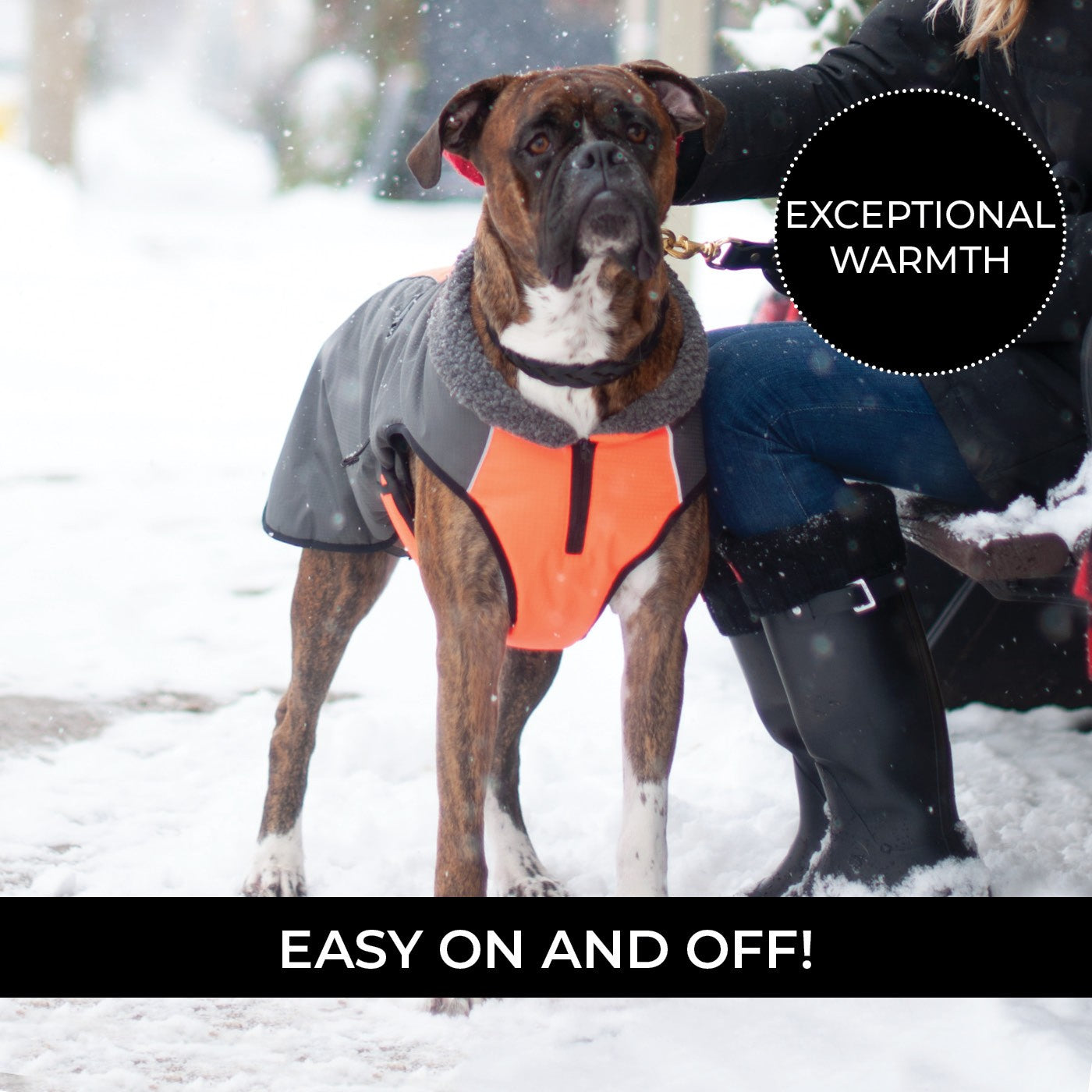 Shedrow K9 Chinook Dog Coat