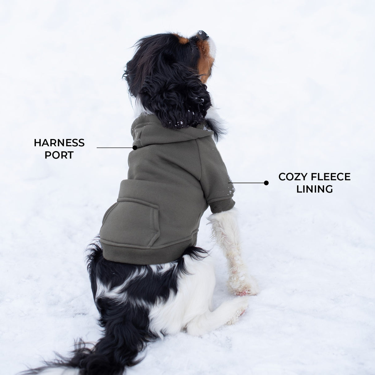 Shedrow K9 Brentwood Dog Hoodie