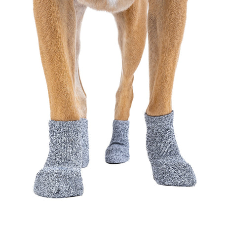 Canada Pooch The Basics Dog Socks