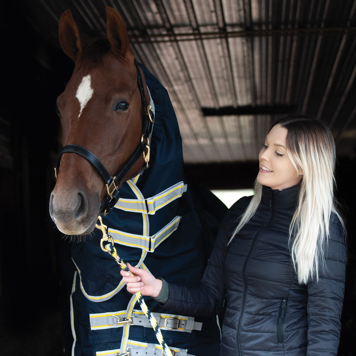 Laisse Poly Deux Tons Shedrow