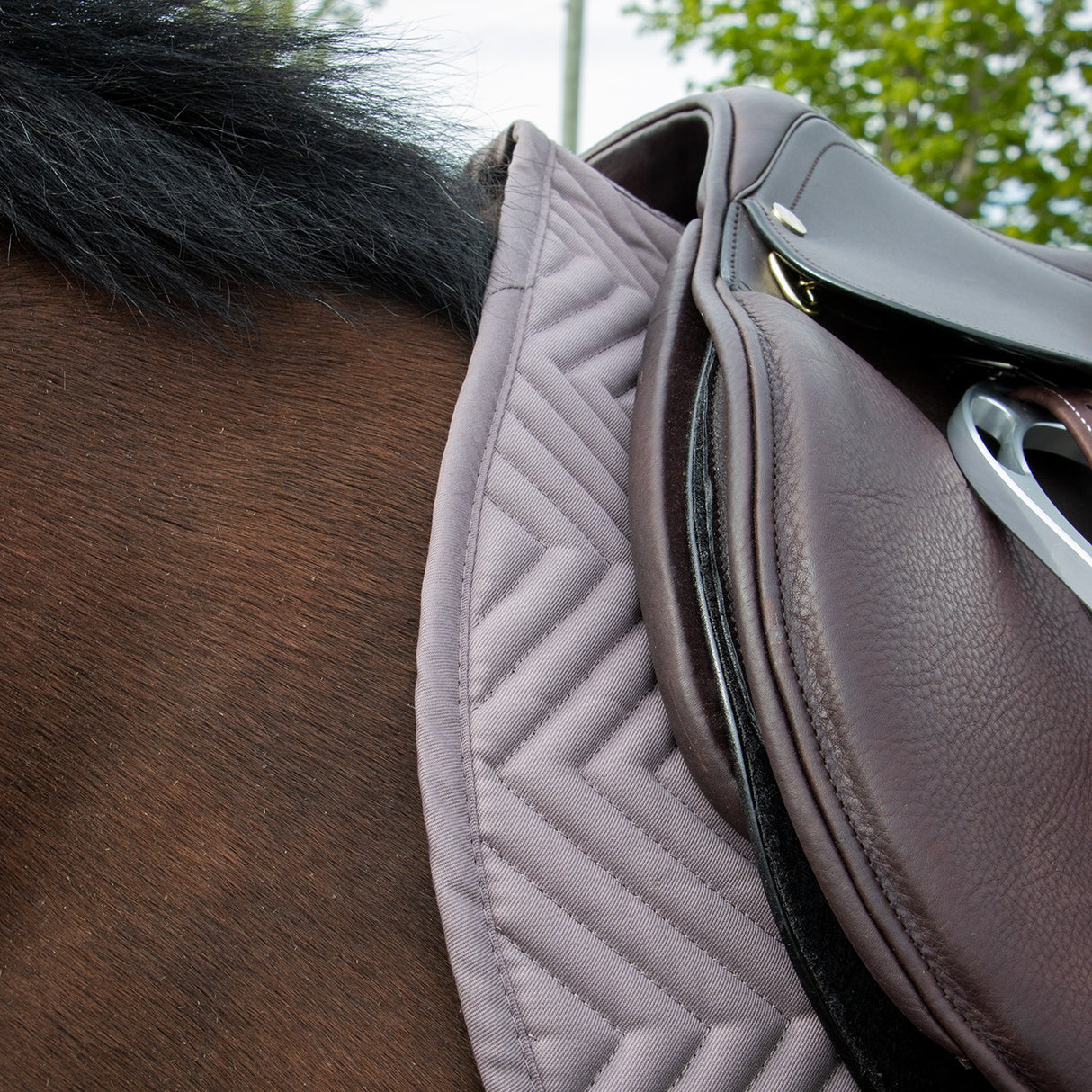 Everyday Essential Saddle Pad
