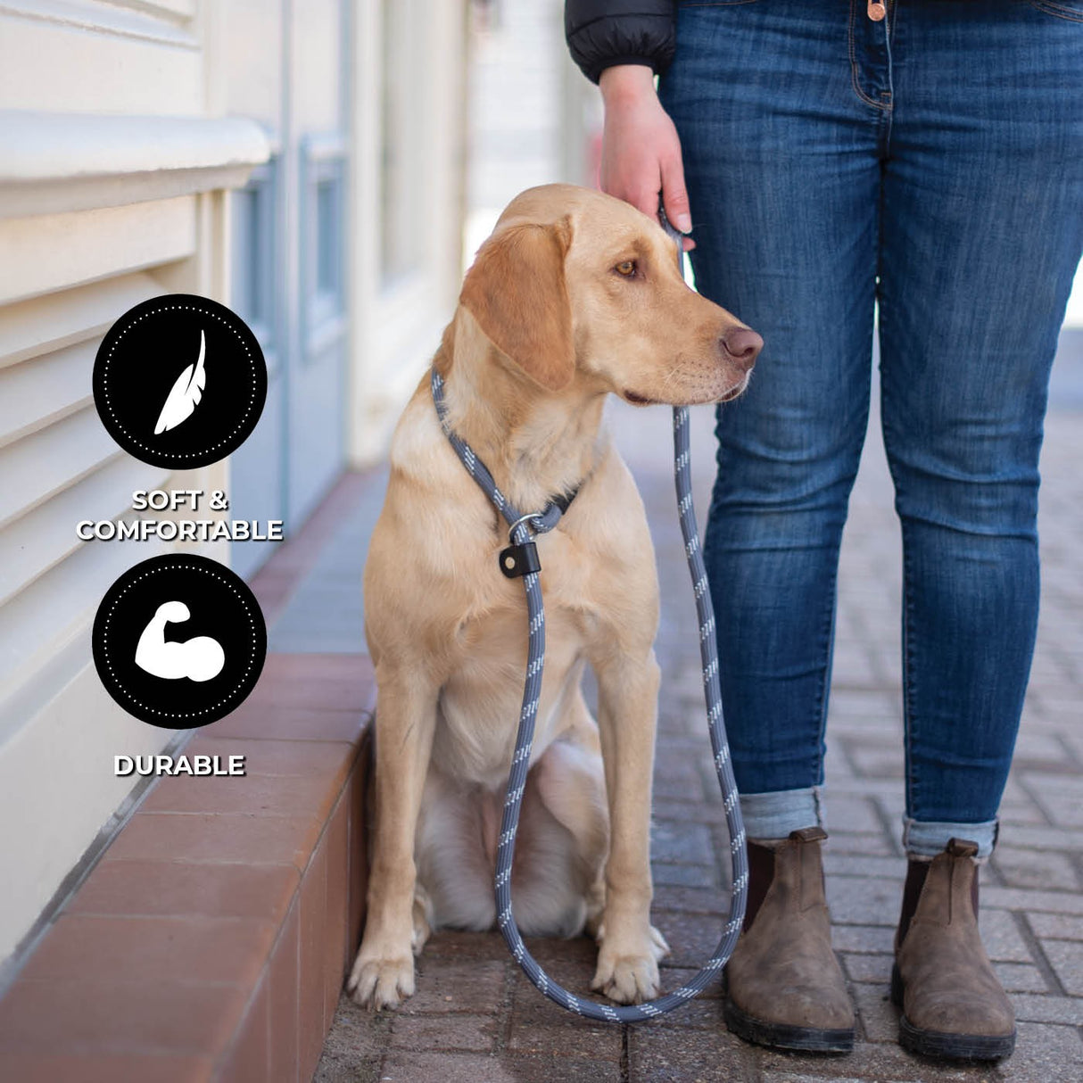 Shedrow K9 Camino Corde Slip Laisse