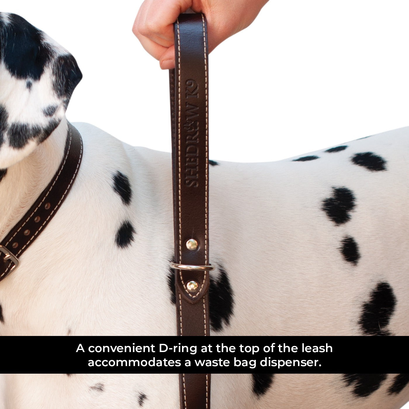 Laisse en cuir Shedrow K9 Richmond Top Stitch 1,5 m