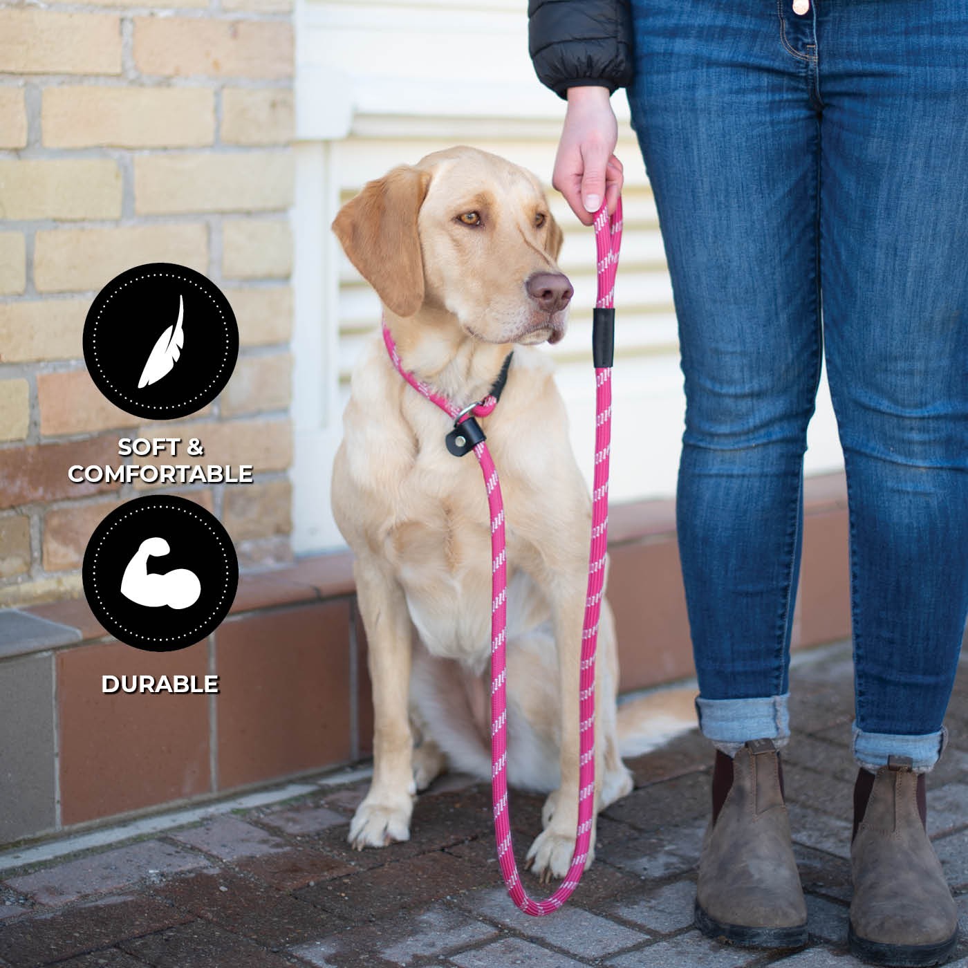 Shedrow K9 Camino Corde Slip Laisse