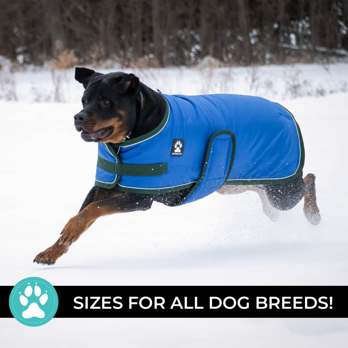 Shedrow K9 Vail Dog Coat