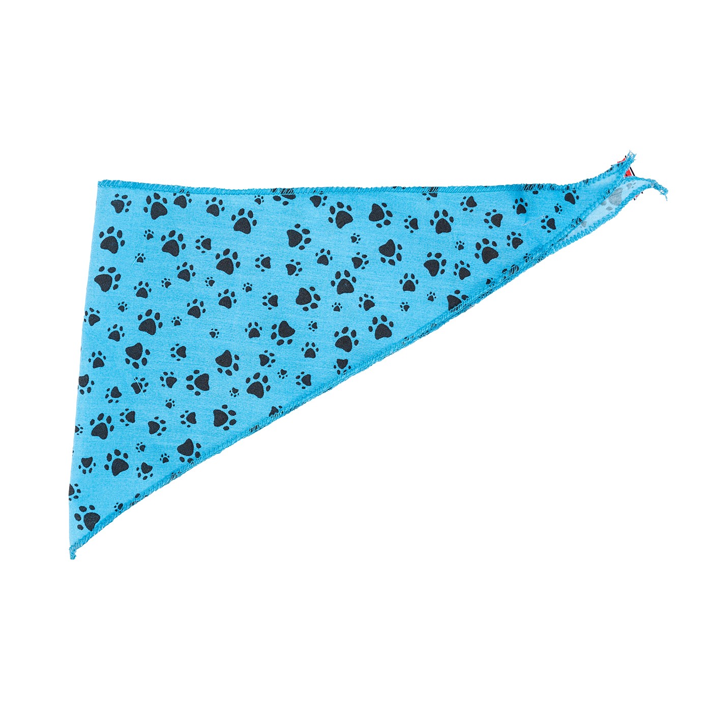 Bandanas Republic Triangle Bandana