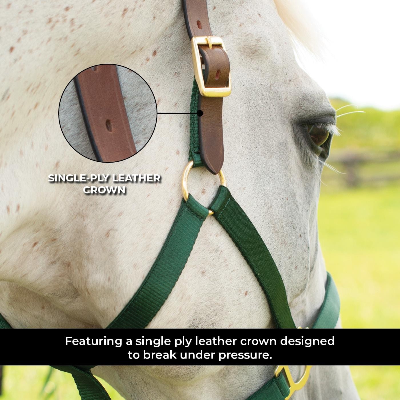 Licol Supra en nylon avec couronne en cuir