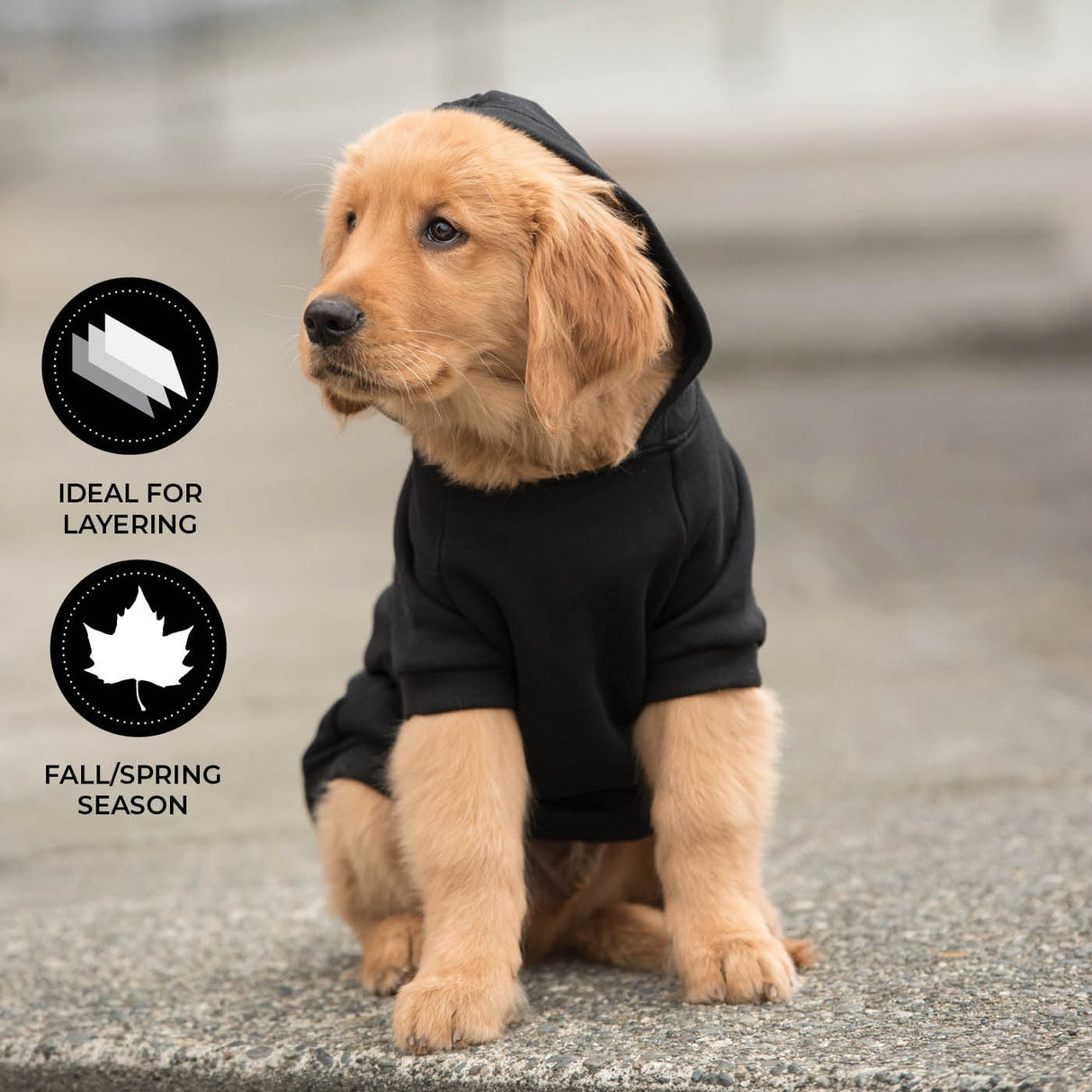 Shedrow K9 Brentwood Dog Hoodie