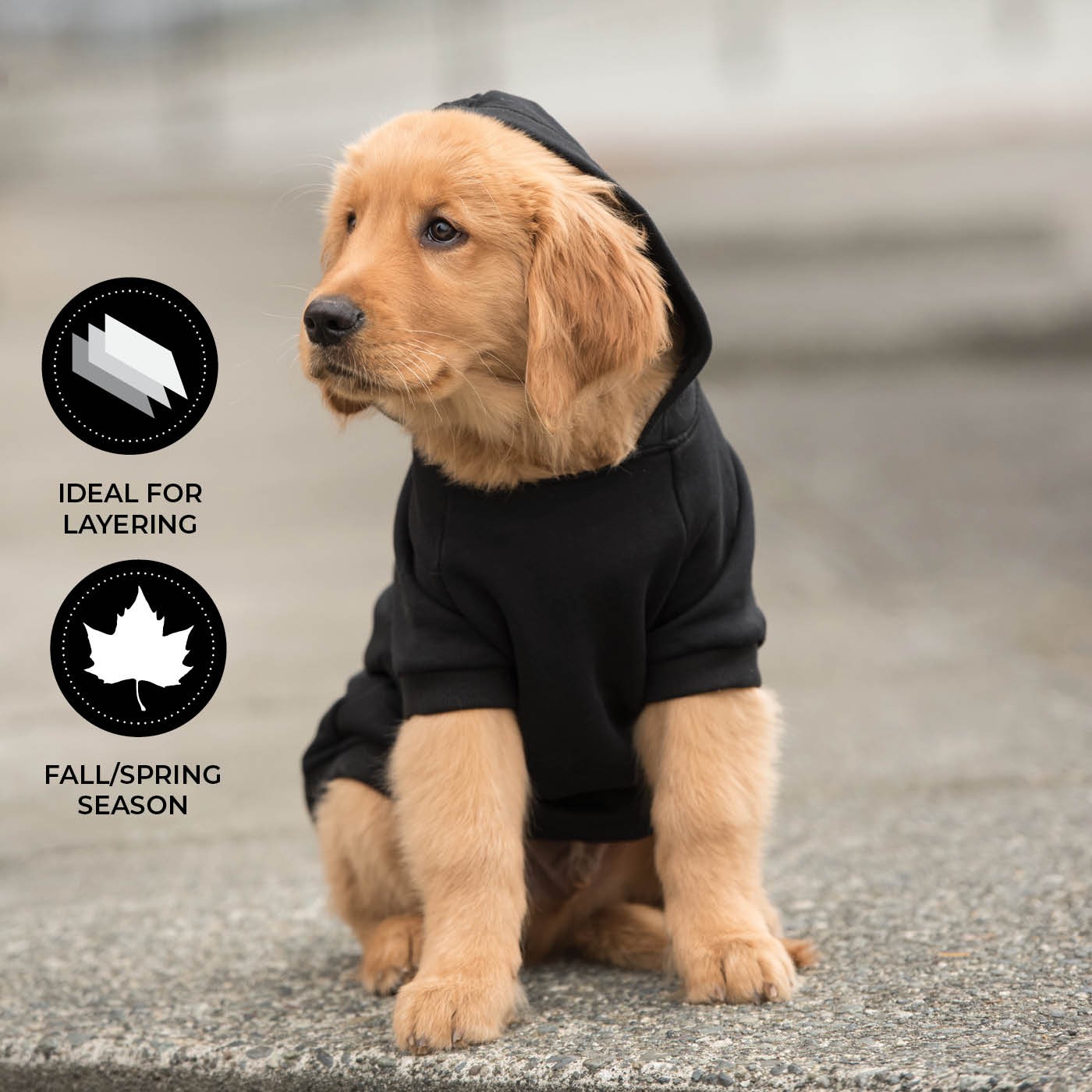 Shedrow K9 Brentwood Dog Hoodie